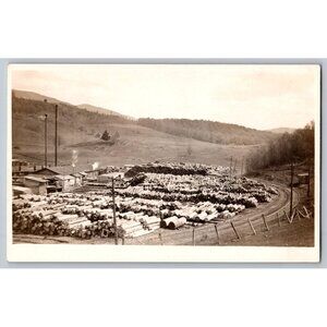 Antique Portville Basket Co. operated out of Portville, NY Postcard #1591
